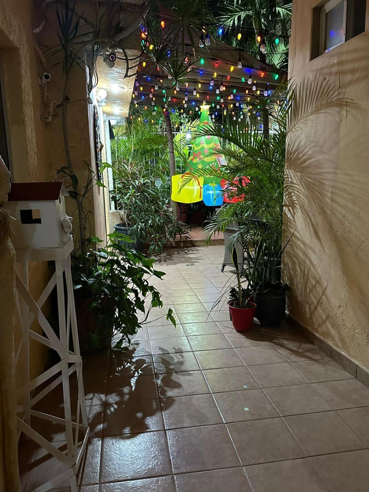 Hotel Posada Marcas Cancún Zewnętrze zdjęcie